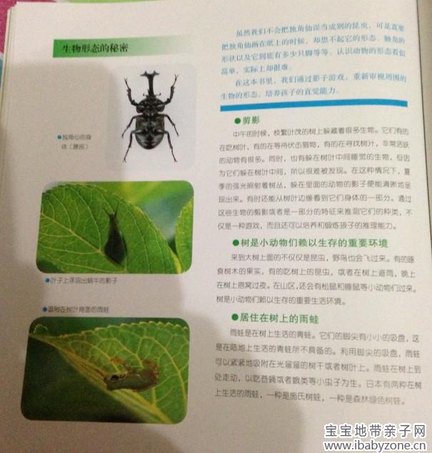 捉12