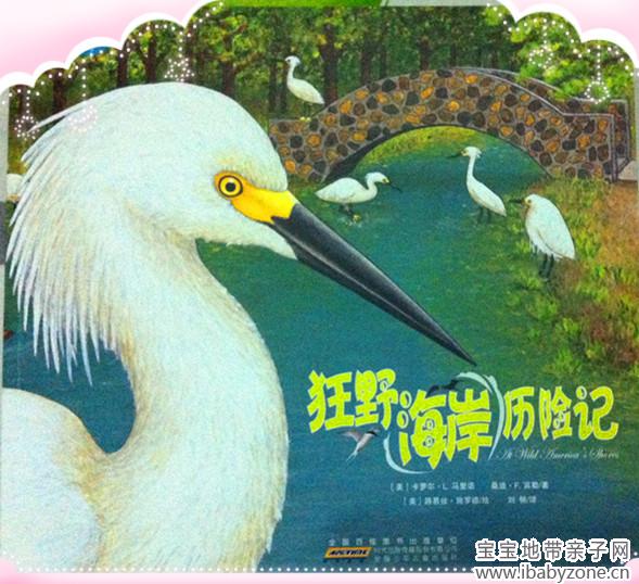 照片 013