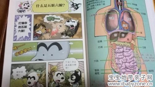 五脏_conew1