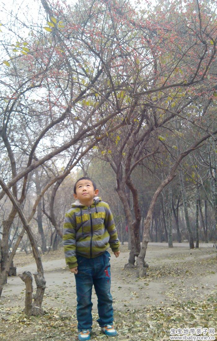 IMG_20131123_123702_副本