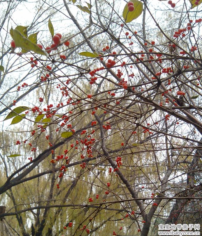 IMG_20131123_123728_副本