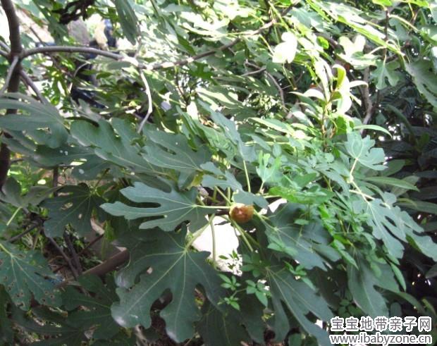 照片 055