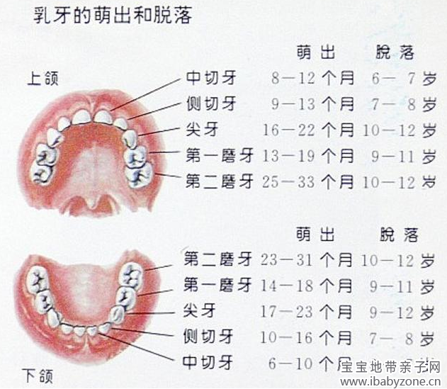 QQ截图20131126162411