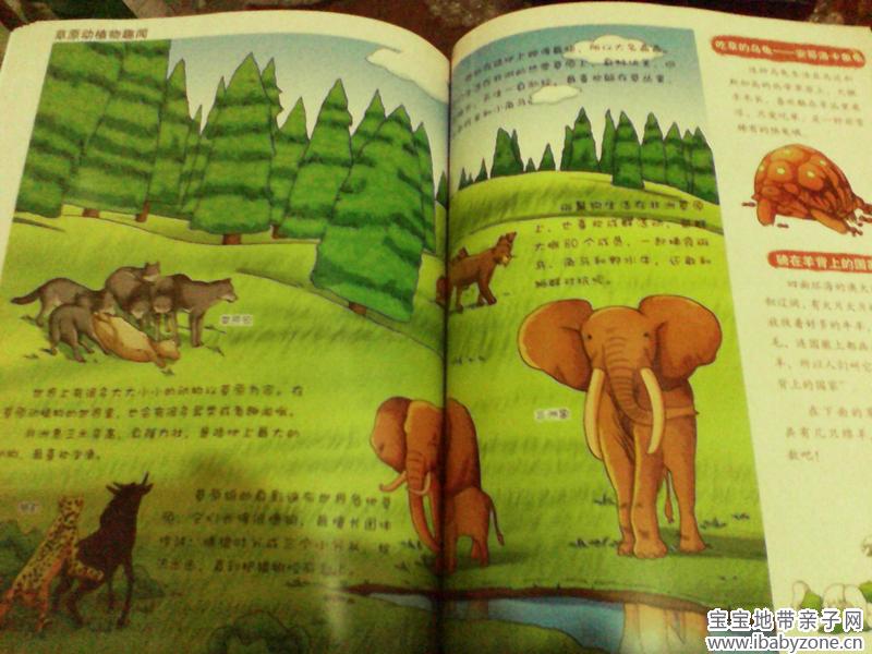 草原驱蚊