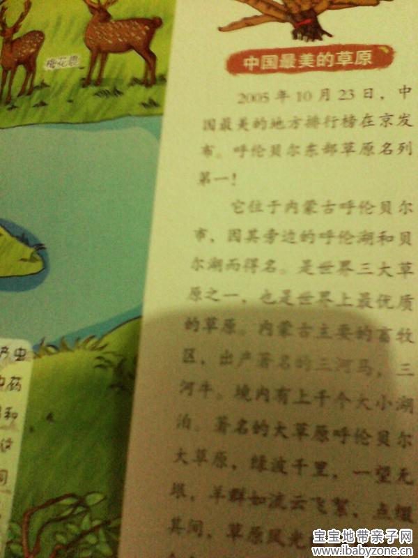 中国最美草原