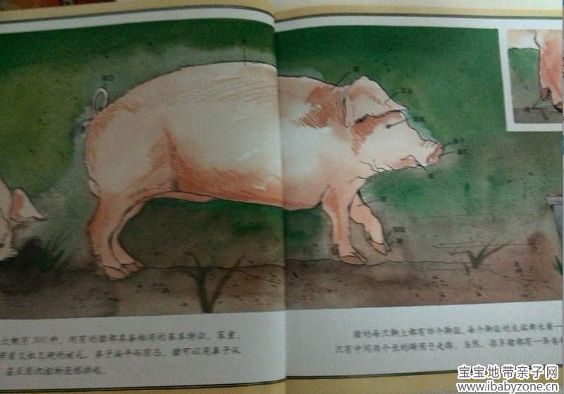 QQ图片20140108162201