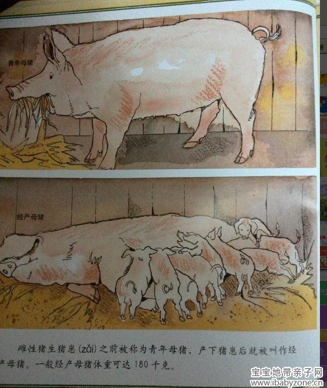QQ图片20140108162236