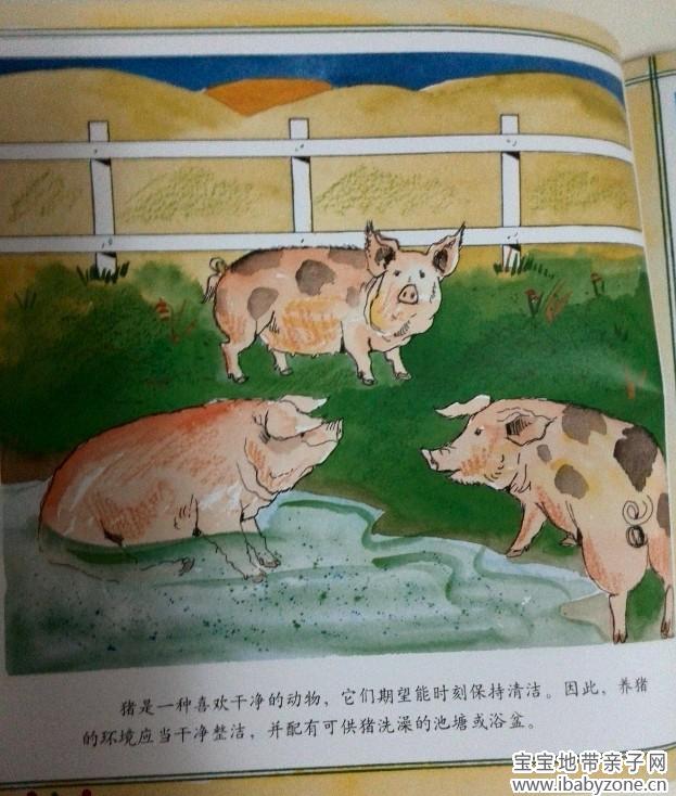 QQ图片20140108162343
