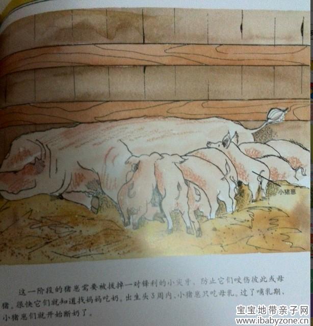 QQ图片20140108162413