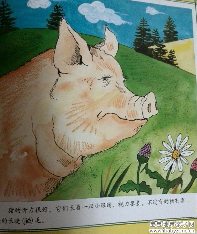 QQ图片20140108162442