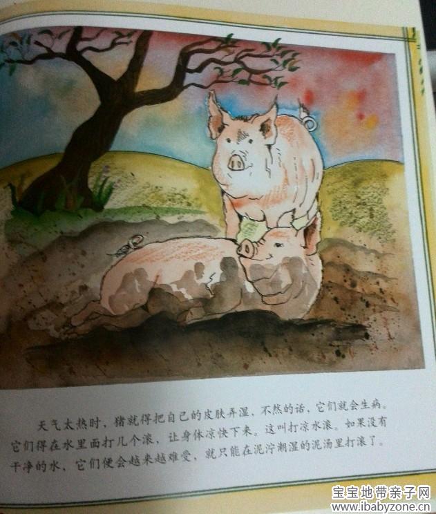 QQ图片20140108162501