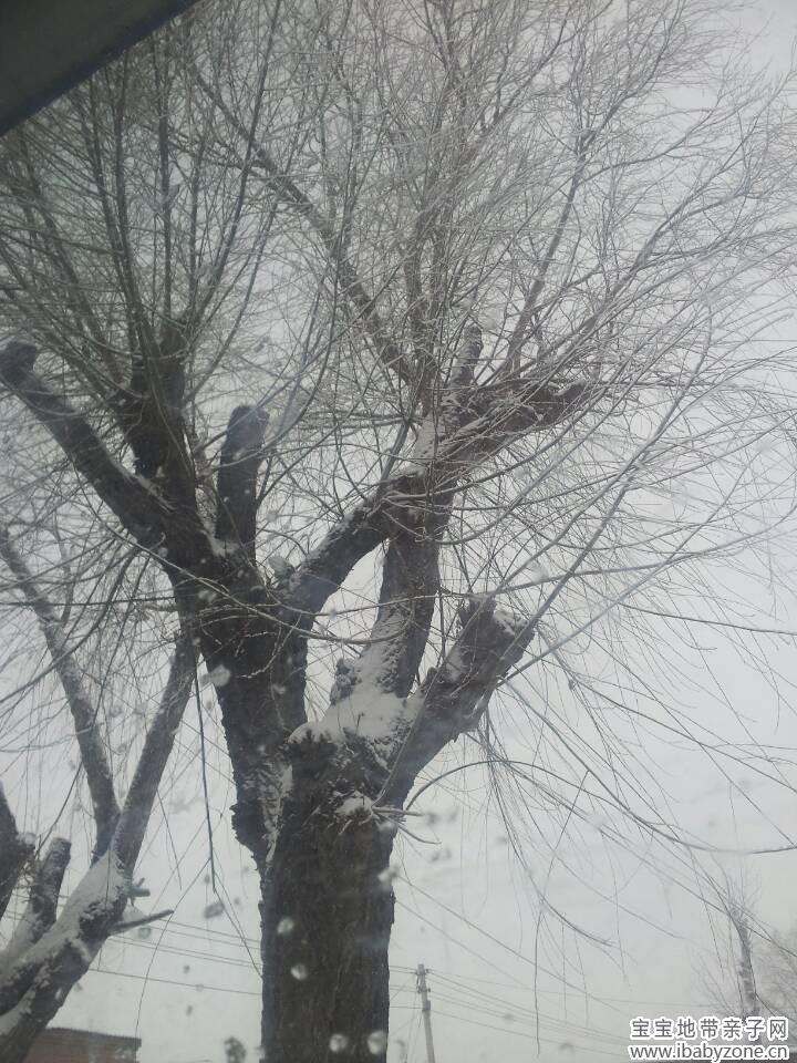 QQ图片20131231205340