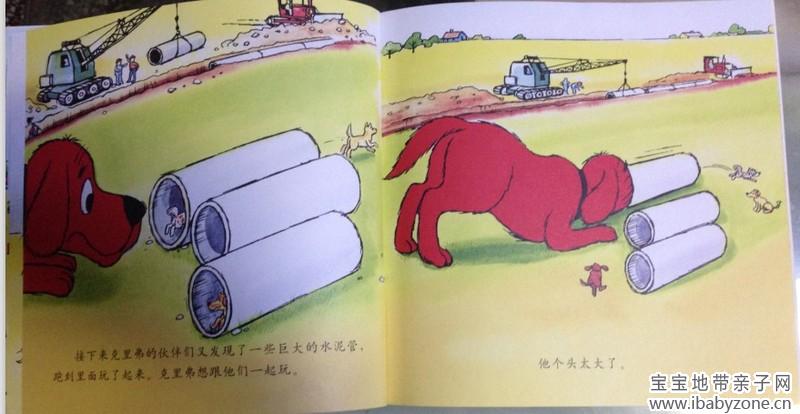 大红狗12