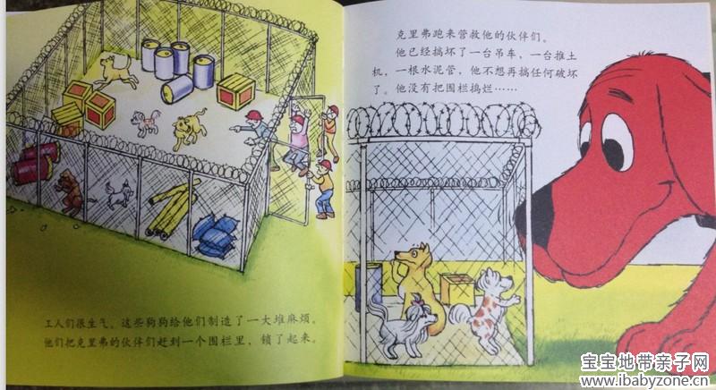 大红狗14