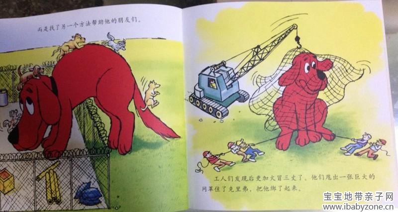 大红狗15