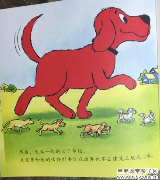 大红狗17
