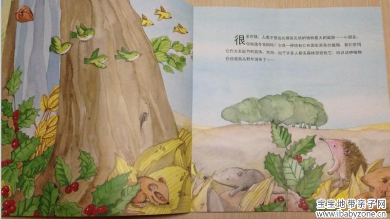 环保5