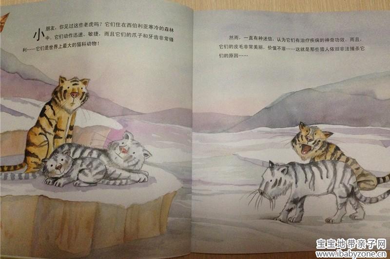 环保11