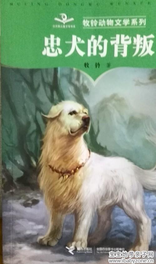 封面_conew1