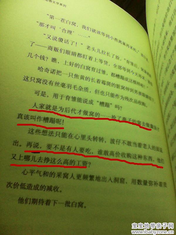 燕窝