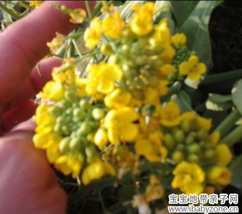 QQ图片20140228144311