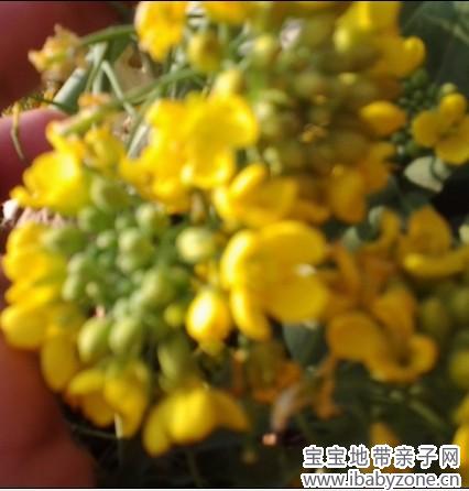 QQ图片20140228144323