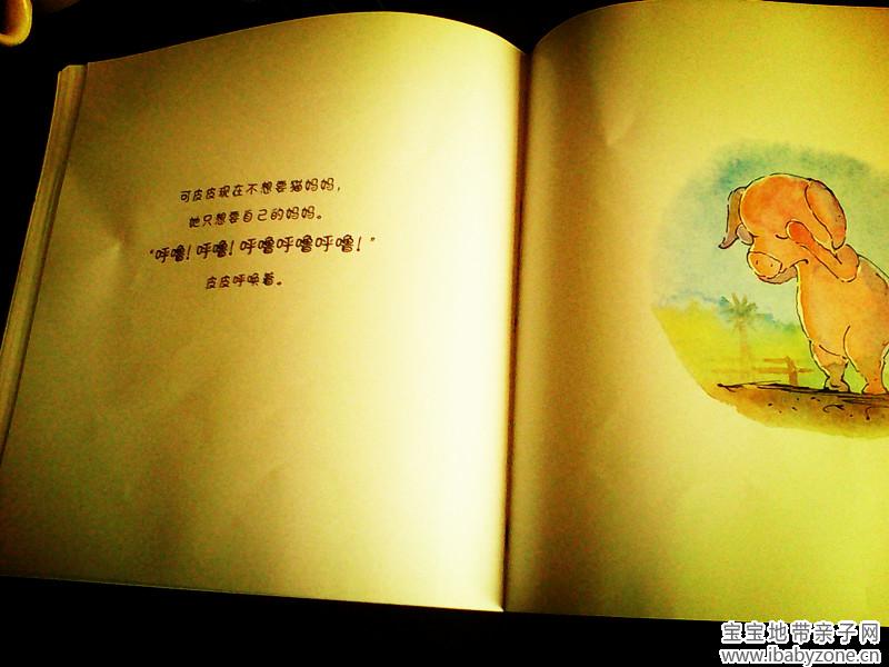继续找妈妈