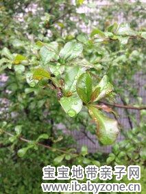 照片 016