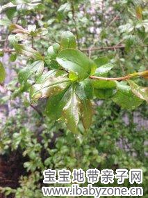 照片 018