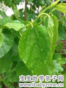 照片 019
