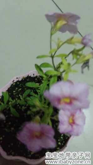 照片 284