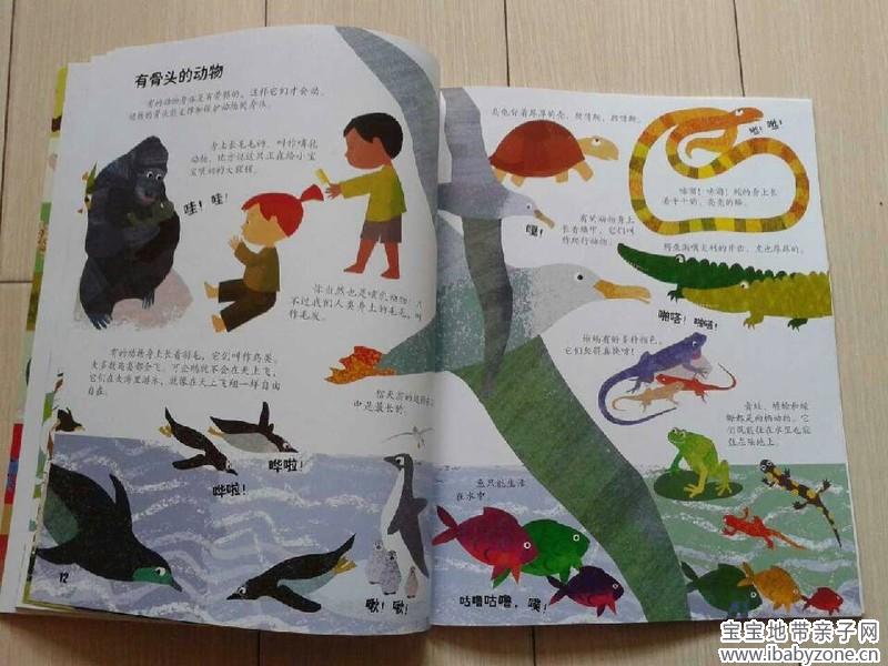 QQ图片20140514133915