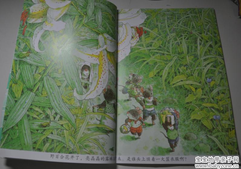 劳动6