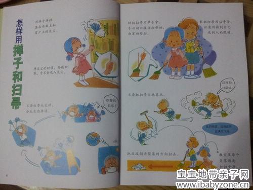 掸子