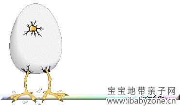 蛋蛋