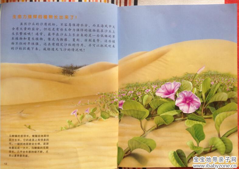 牛顿10