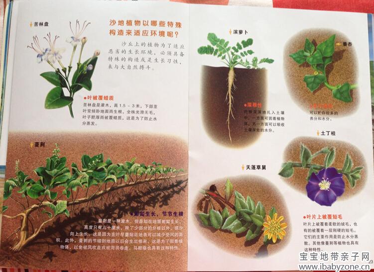 牛顿13