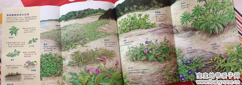 牛顿24