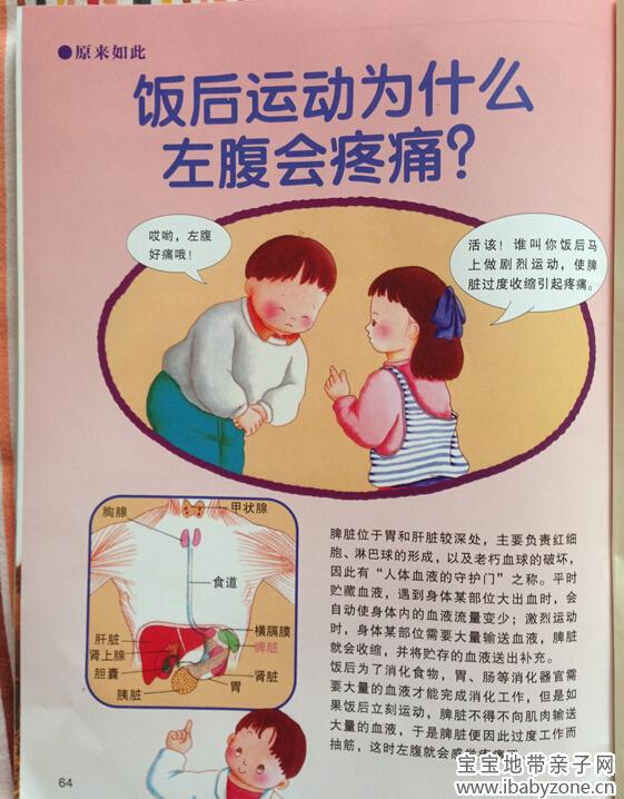 牛顿28