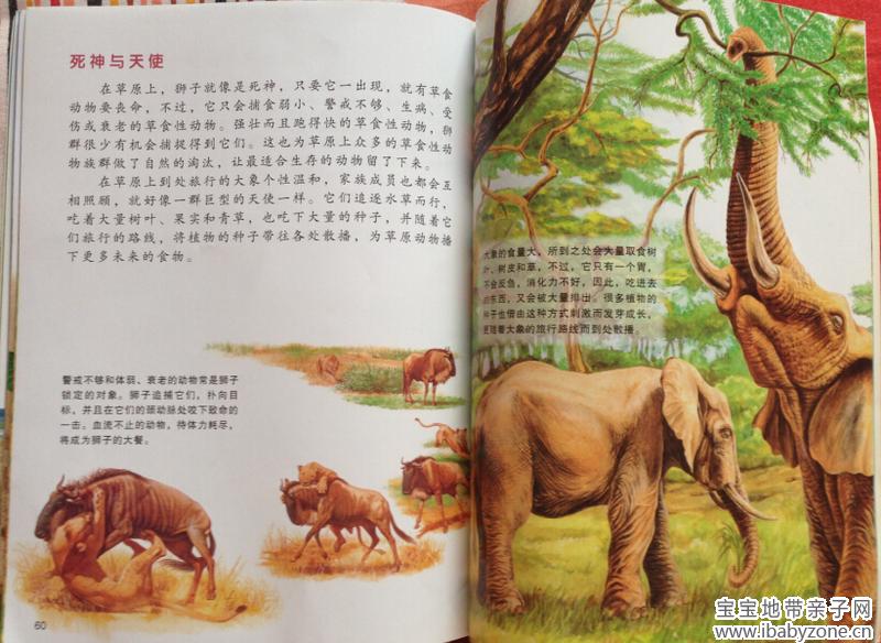牛顿29