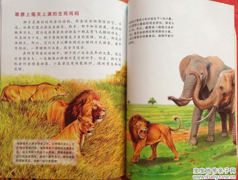 牛顿30
