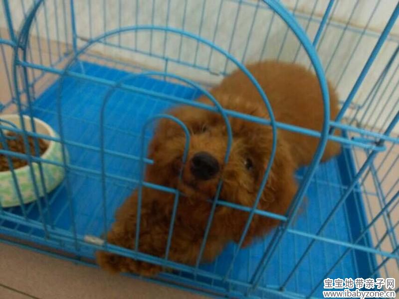 QQ图片20140625154410