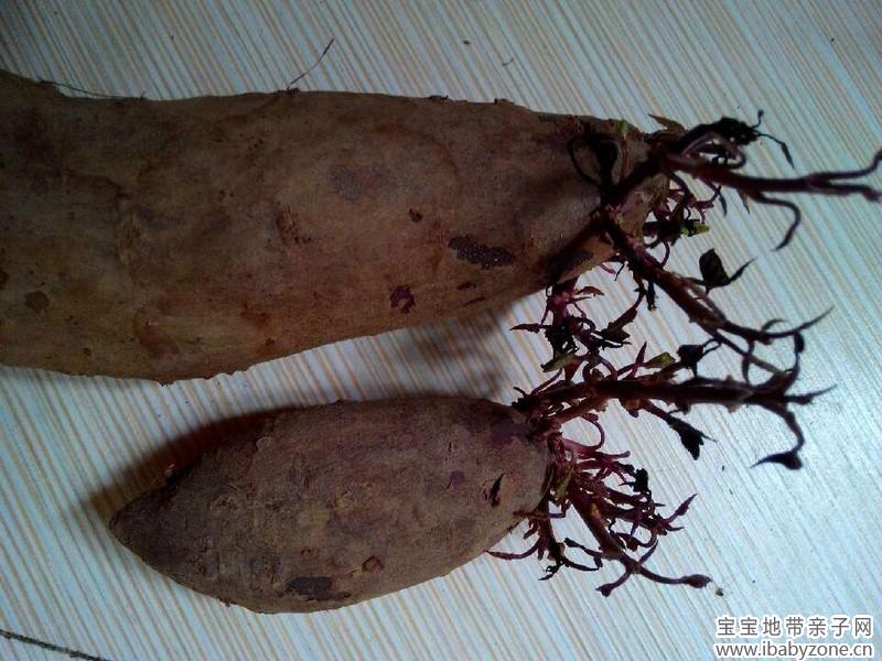 QQ图片20140707204707