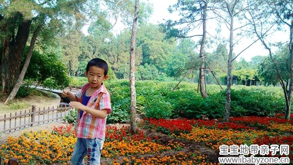 IMG_20140608_093538_副本