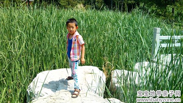 IMG_20140608_111623_副本