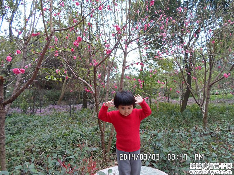 SAM_4141_副本