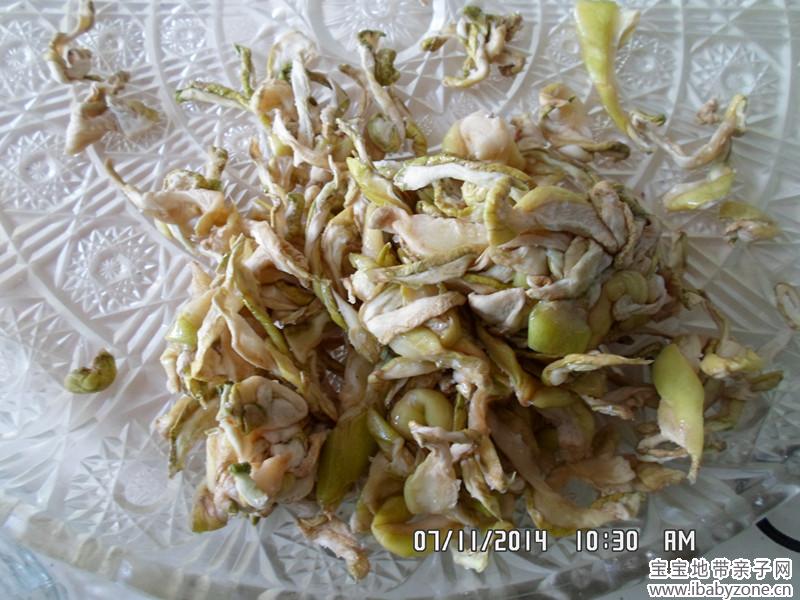 SAM_1038_副本