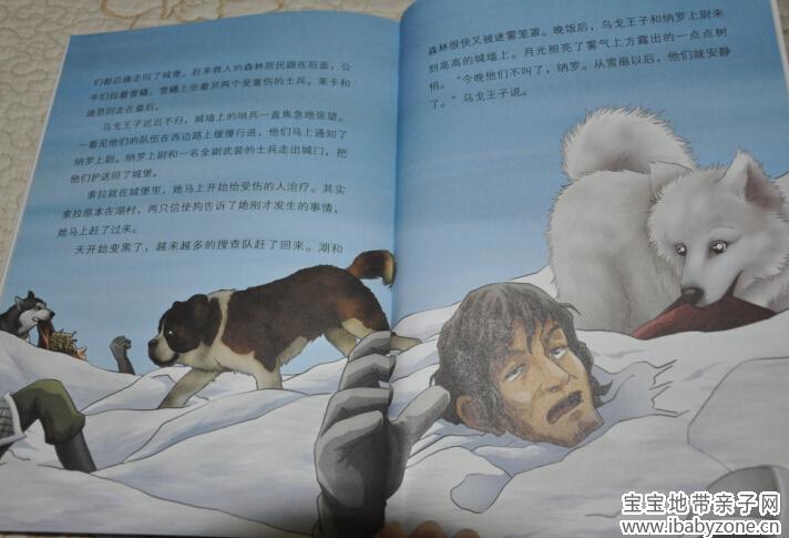 汪13