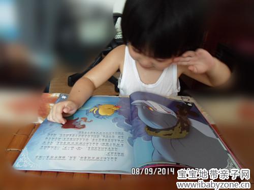 SAM_1831_副本