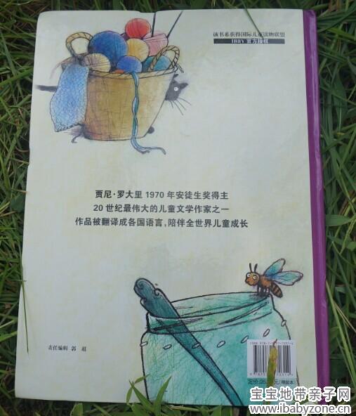爱丽丝12